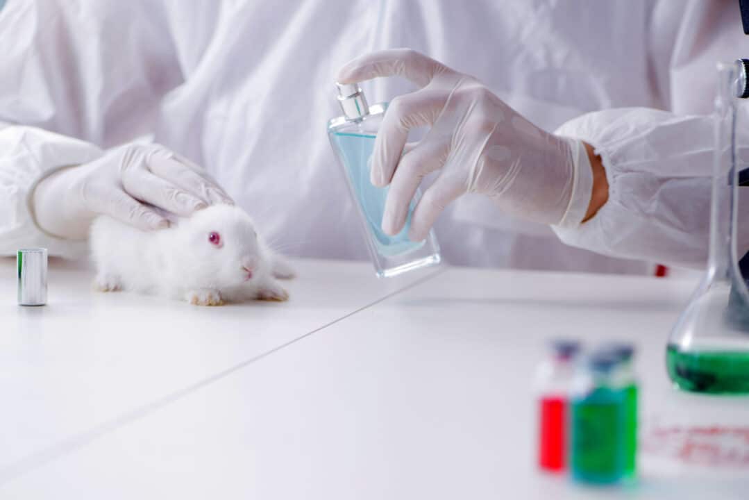 Avoid These Popular 275 + Beauty & Skincare Brands That Still Test On Animals