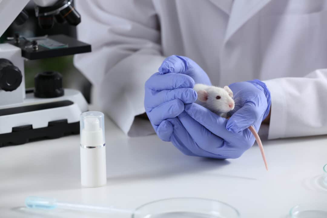 What Animals Are Being Tested on for Beauty Experiments in Cosmetics