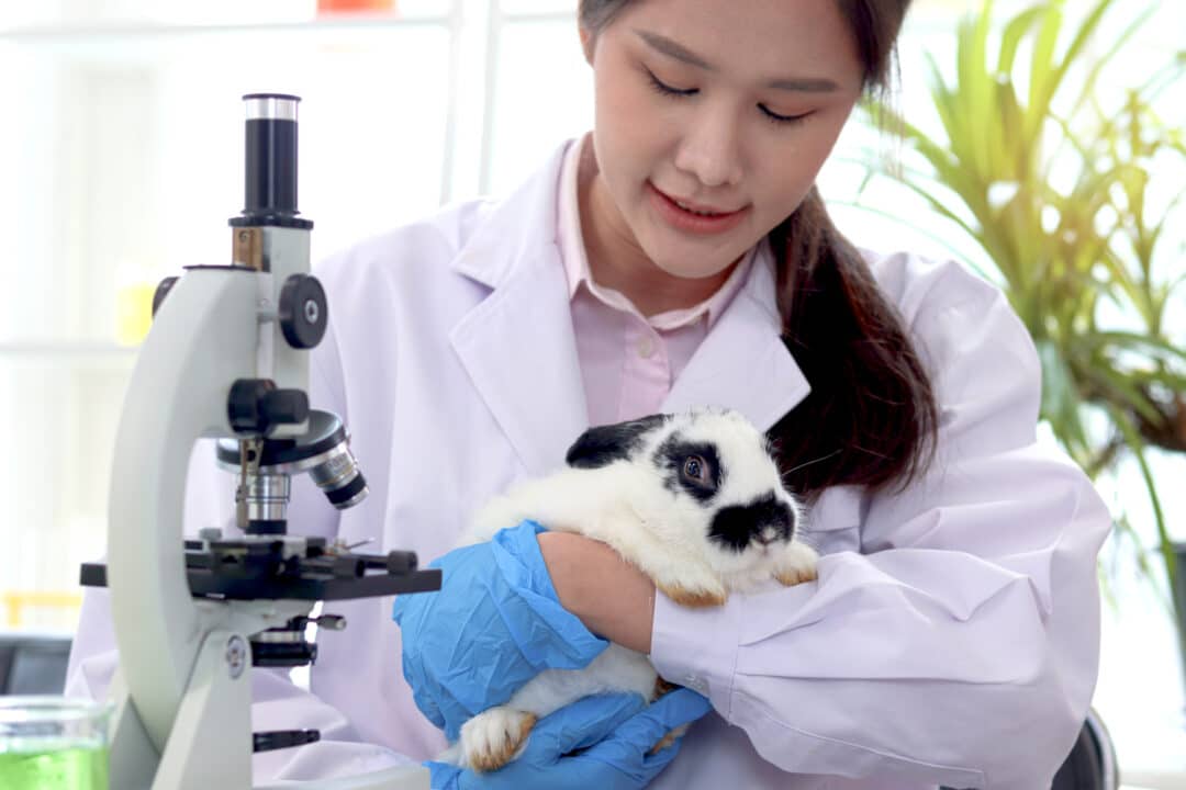 Unpacking the Nuances of China's 2021 Animal Testing Exemption for Cosmetics